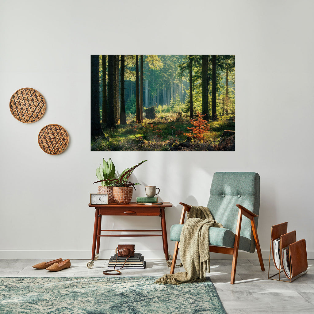 SUNLIT FOREST SERENADE Peel and Stick Horizontal Poster