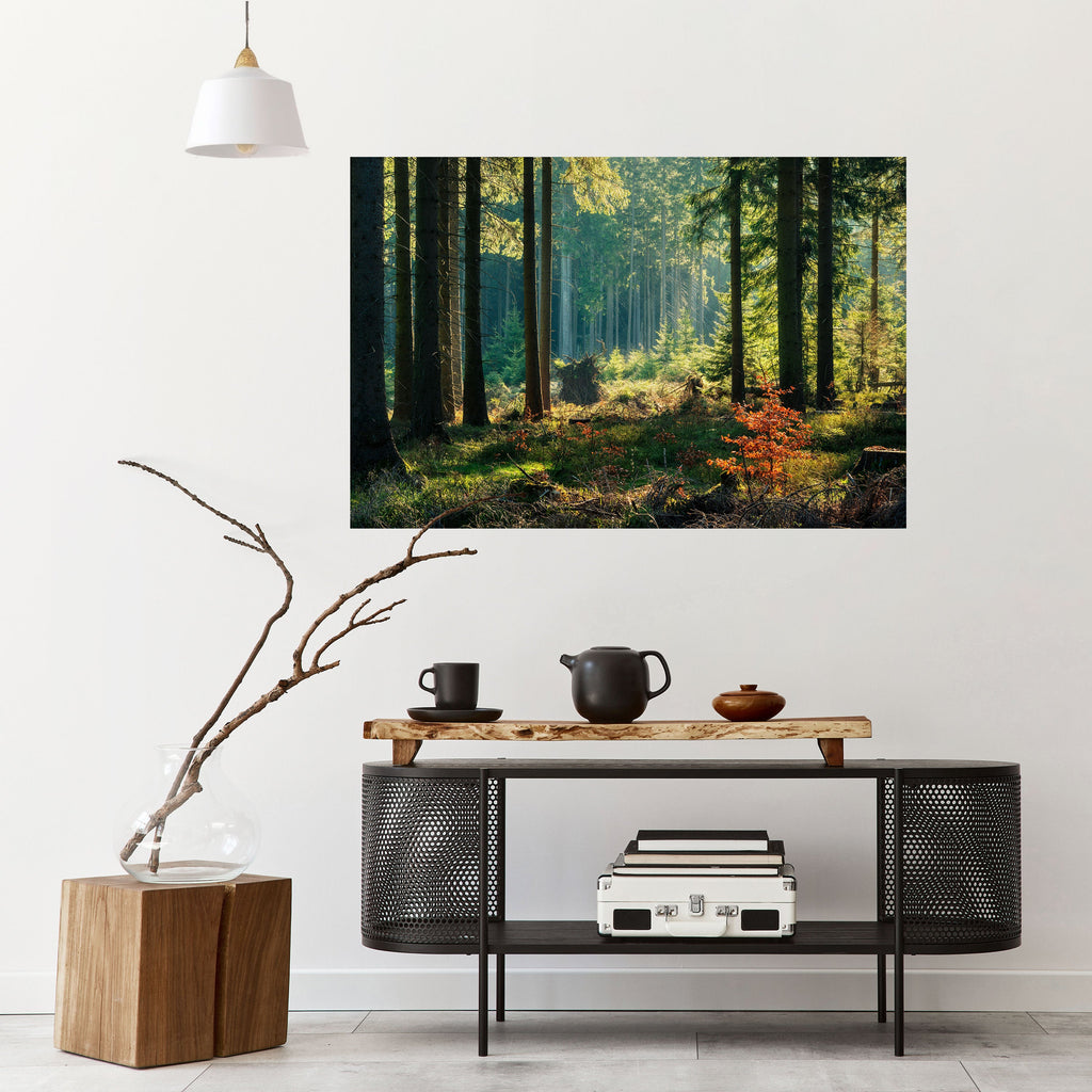 SUNLIT FOREST SERENADE Peel and Stick Horizontal Poster
