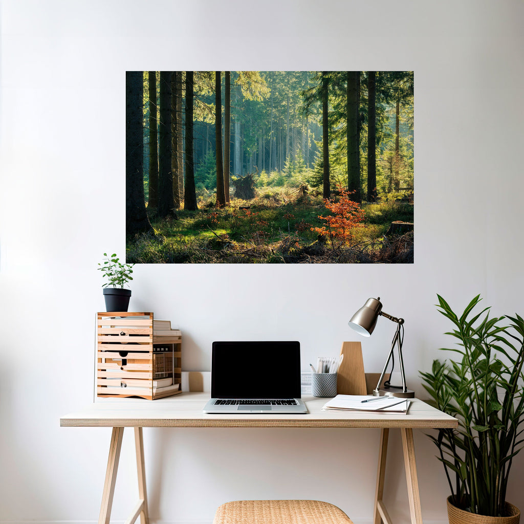 SUNLIT FOREST SERENADE Peel and Stick Horizontal Poster