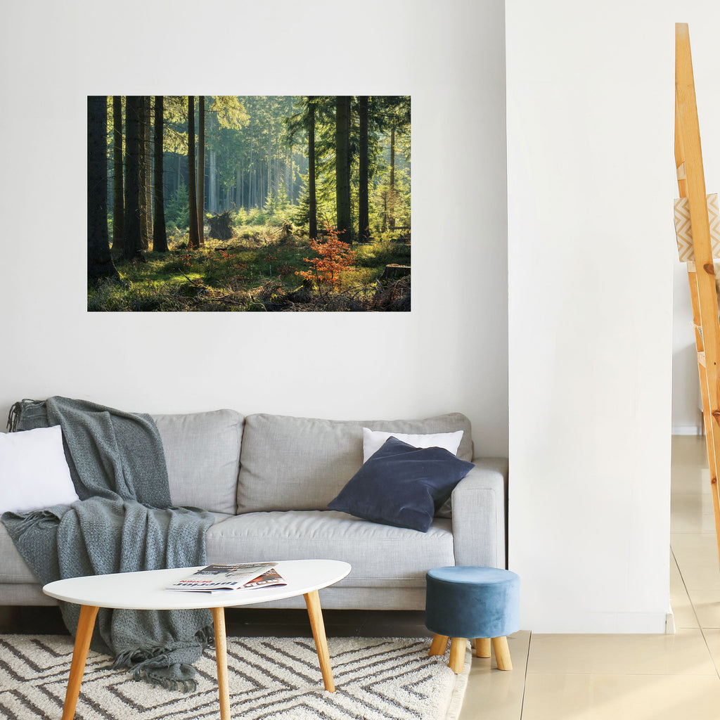 SUNLIT FOREST SERENADE Peel and Stick Horizontal Poster