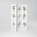 WHISPERS OF WILD HERBS Biombo Decorativo de 3 Painéis