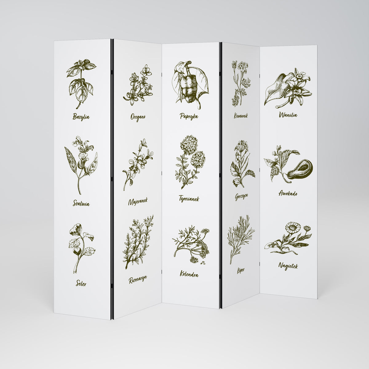 WHISPERS OF WILD HERBS Biombo de 5 Painéis