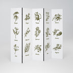 WHISPERS OF WILD HERBS Biombo Decorativo de 5 Painéis