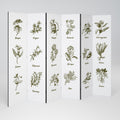 WHISPERS OF WILD HERBS Biombo de 6 Painéis
