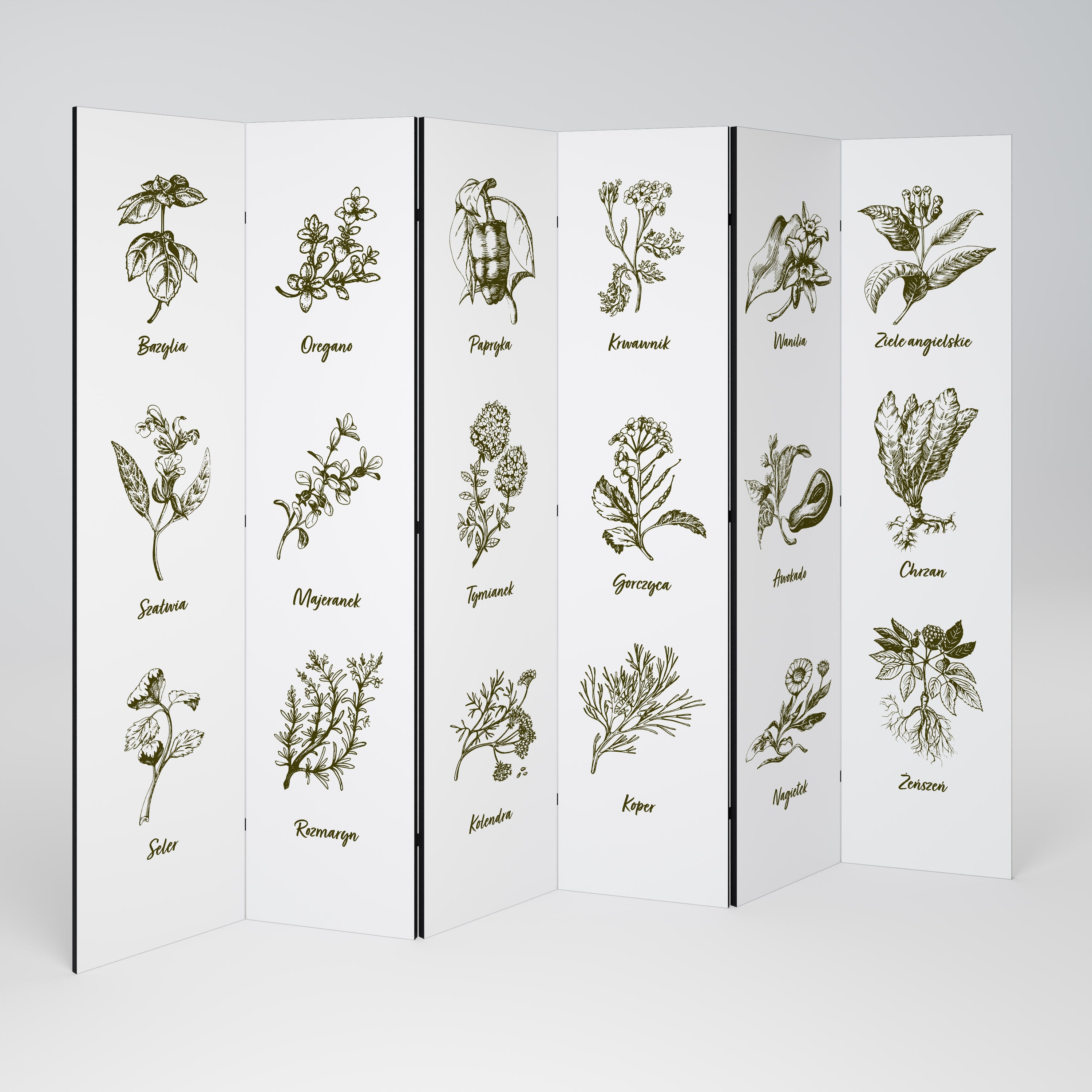 WHISPERS OF WILD HERBS Biombo de 6 Painéis