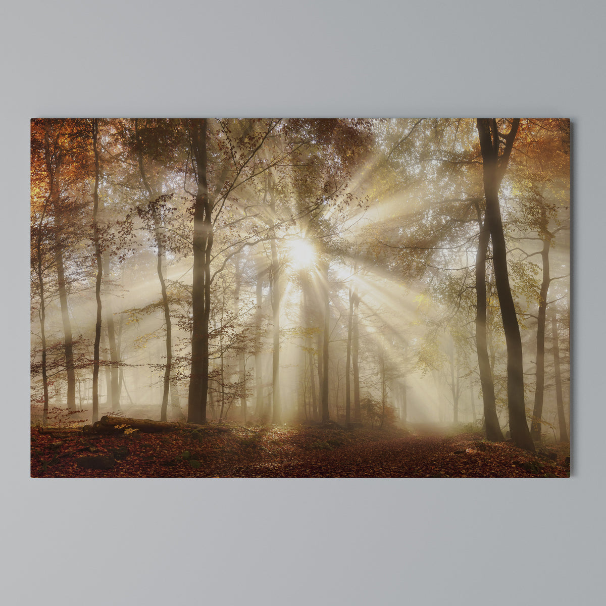 WHISPERS OF AUTUMN Horizontal Canvas Print