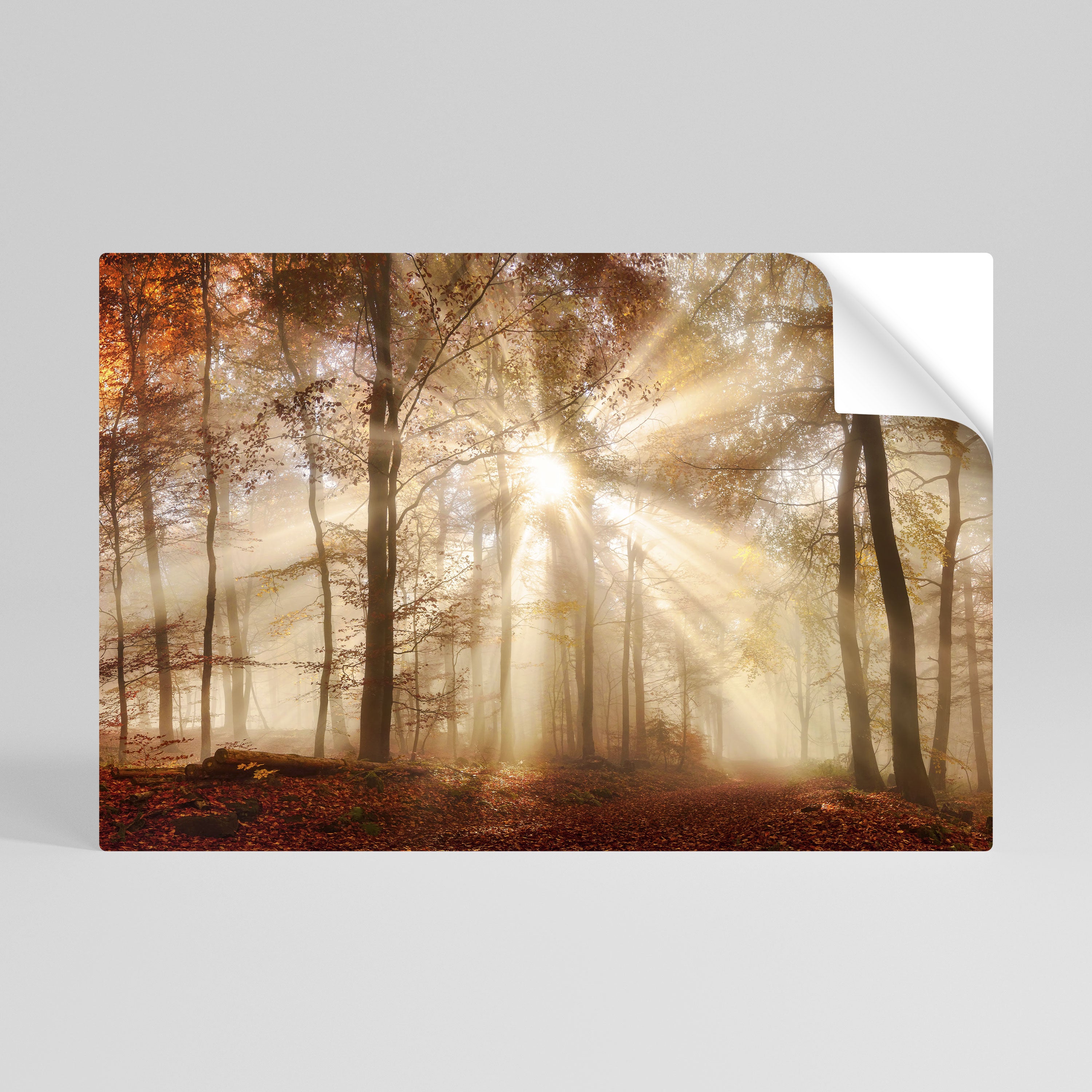 WHISPERS OF AUTUMN Póster Autocolante Horizontal