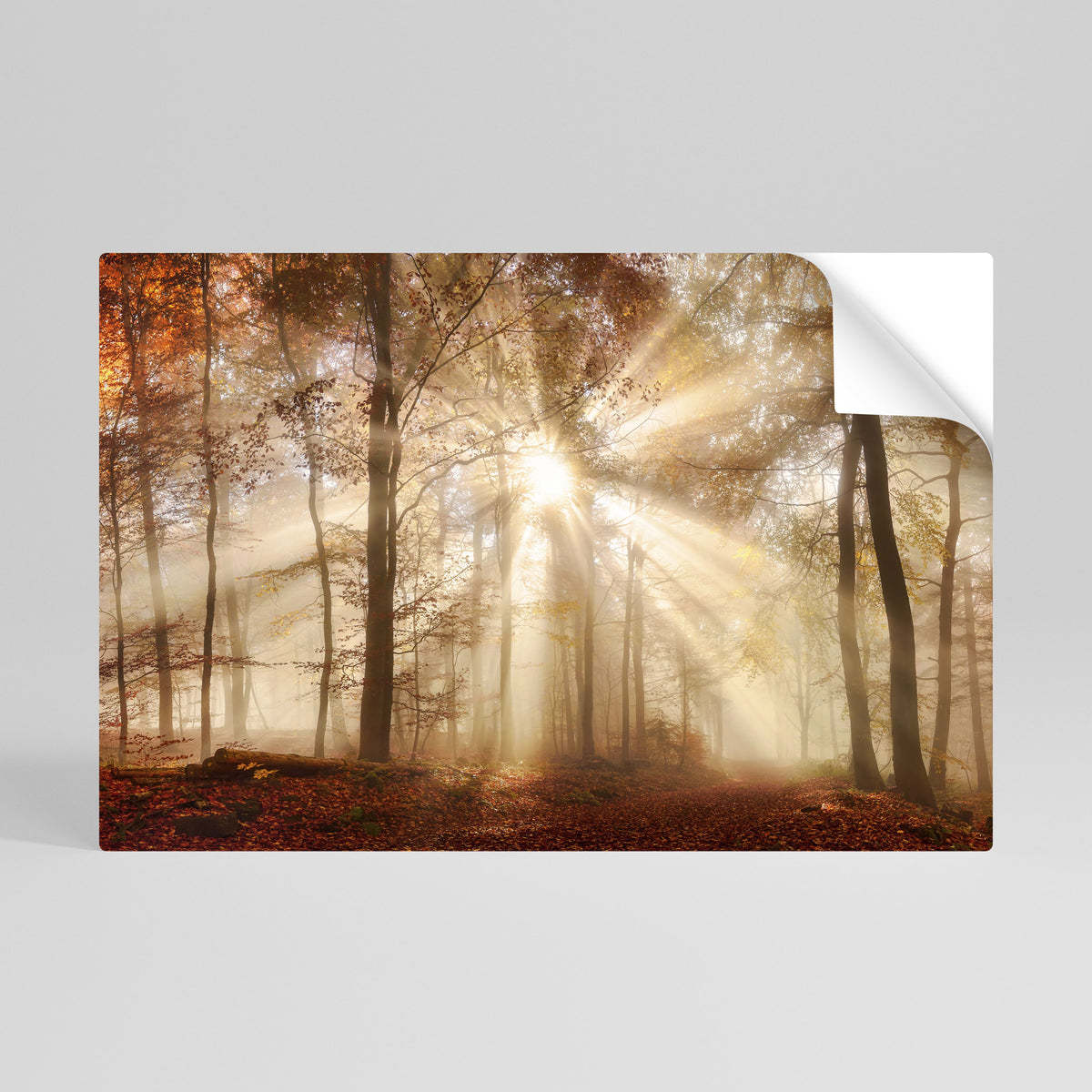 WHISPERS OF AUTUMN Póster Autocolante Horizontal