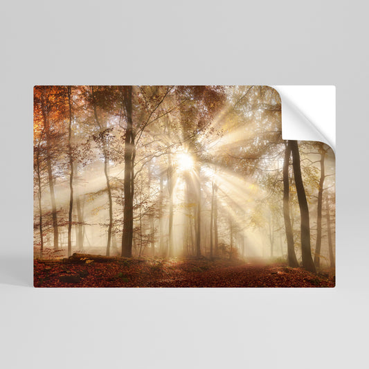 WHISPERS OF AUTUMN Peel and Stick Horizontal Poster