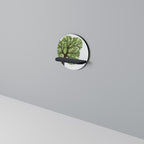 WILDERNESS DASH Prateleira Redonda Decorativa em Acabamento Preto