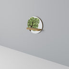 WILDERNESS DASH Prateleira Redonda Decorativa em Efeito Carvalho