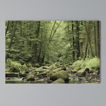 TRANQUIL STONES AND STREAMS Horizontal Canvas Print