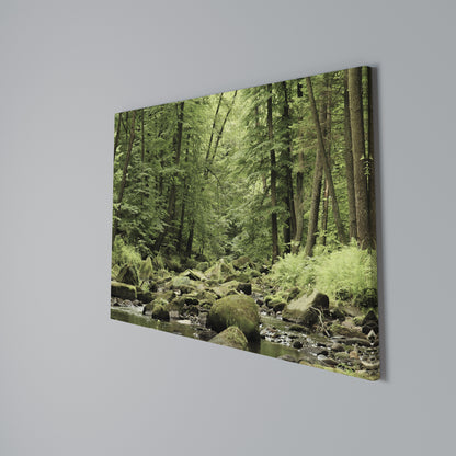TRANQUIL STONES AND STREAMS Horizontal Canvas Print
