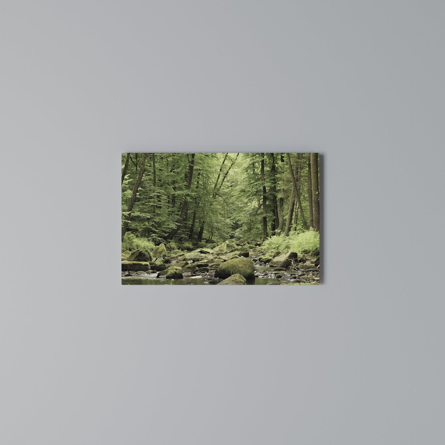 TRANQUIL STONES AND STREAMS Horizontal Canvas Print