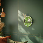REFRESHING LIME Prateleira Oval Decorativa em Acabamento Preto