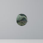 ROYAL GREEN Prateleira Oval Decorativa em Acabamento Preto