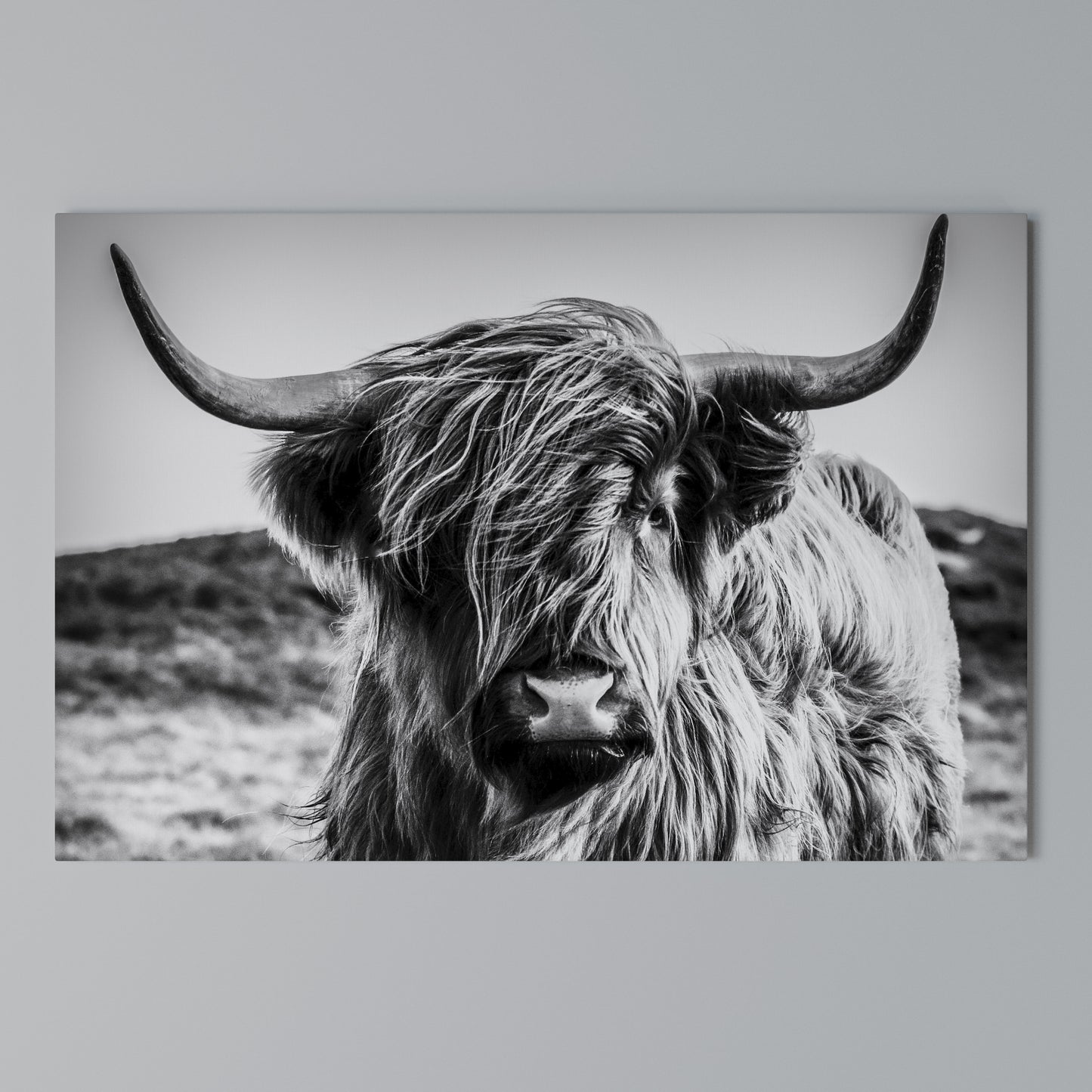 WILD SPIRIT REFLECTED Horizontal Canvas Print