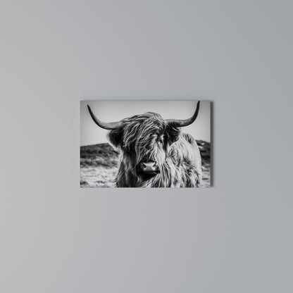 WILD SPIRIT REFLECTED Horizontal Canvas Print