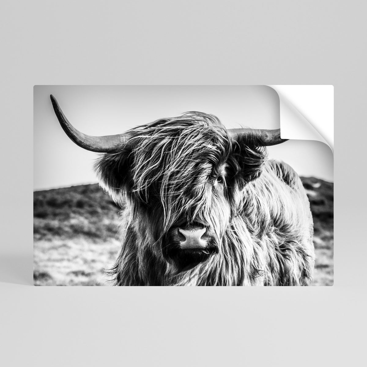 WILD SPIRIT REFLECTED Póster Autocolante Horizontal