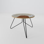 SINGLE SPRIG Coffee Table 60