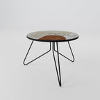 SINGLE SPRIG Coffee Table 60