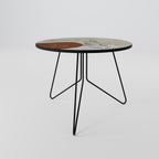 SINGLE SPRIG Coffee Table 69