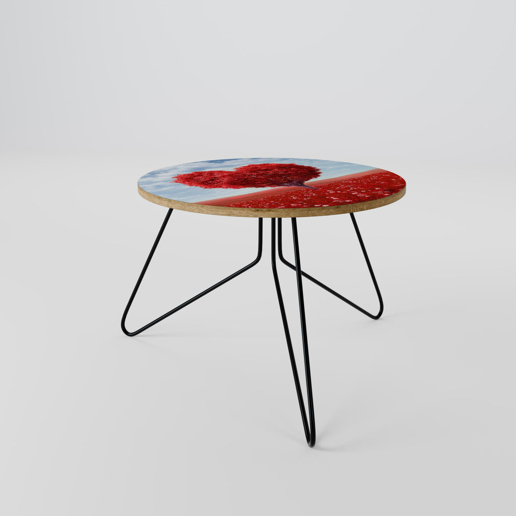 LOVE’S EMBRACE Mesa de Centro 60