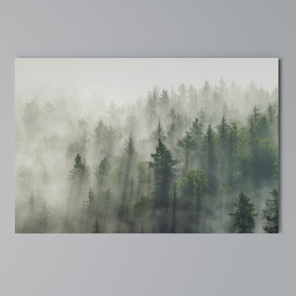 MISTY FOREST Horizontal Canvas Print