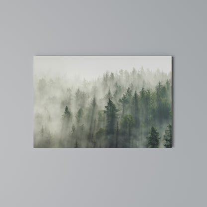MISTY FOREST Horizontal Canvas Print