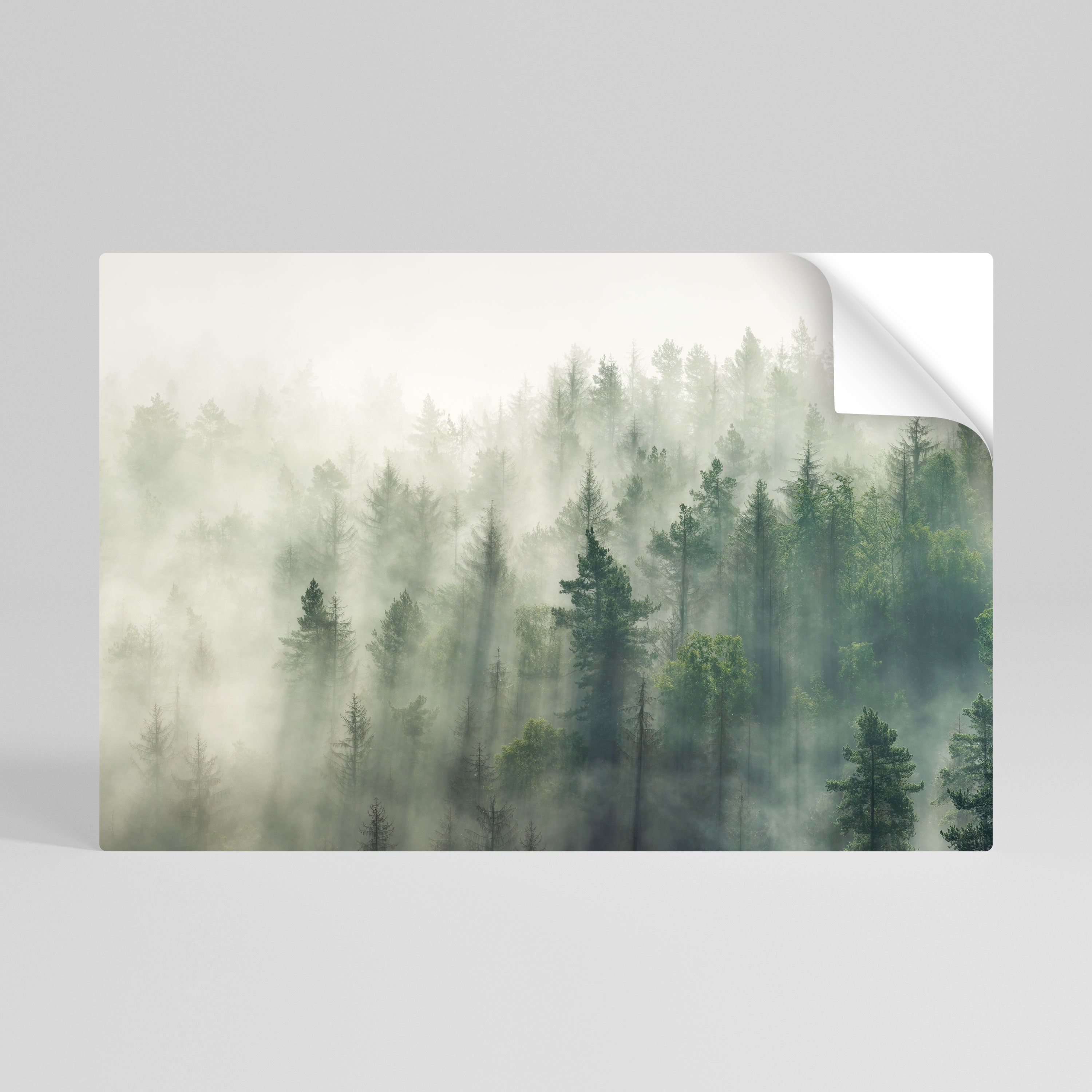 MISTY FOREST Peel and Stick Horizontal Poster