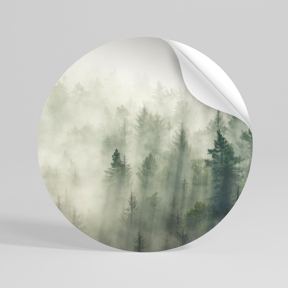 MISTY FOREST Autocolante Redondo Removível