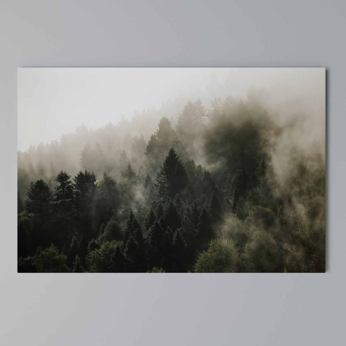 MISTY HIGHLANDS Horizontal Canvas Print