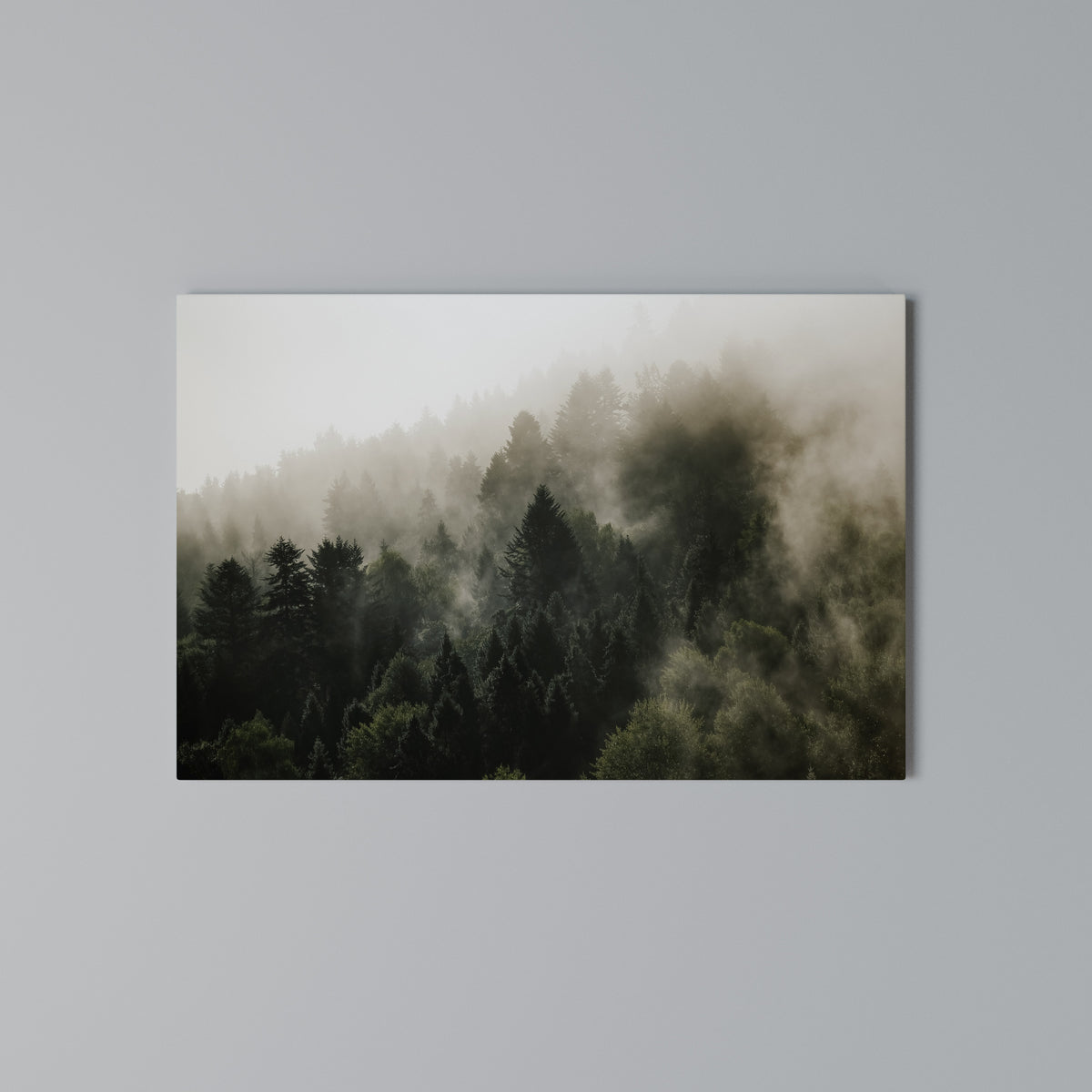 MISTY HIGHLANDS Horizontal Canvas Print