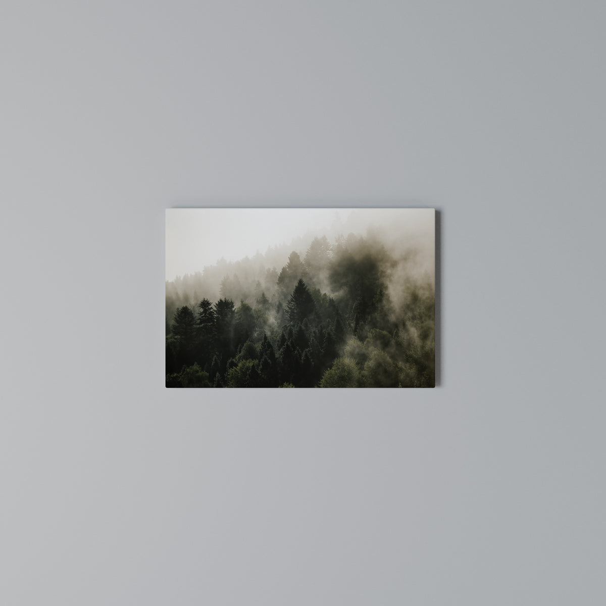 MISTY HIGHLANDS Horizontal Canvas Print