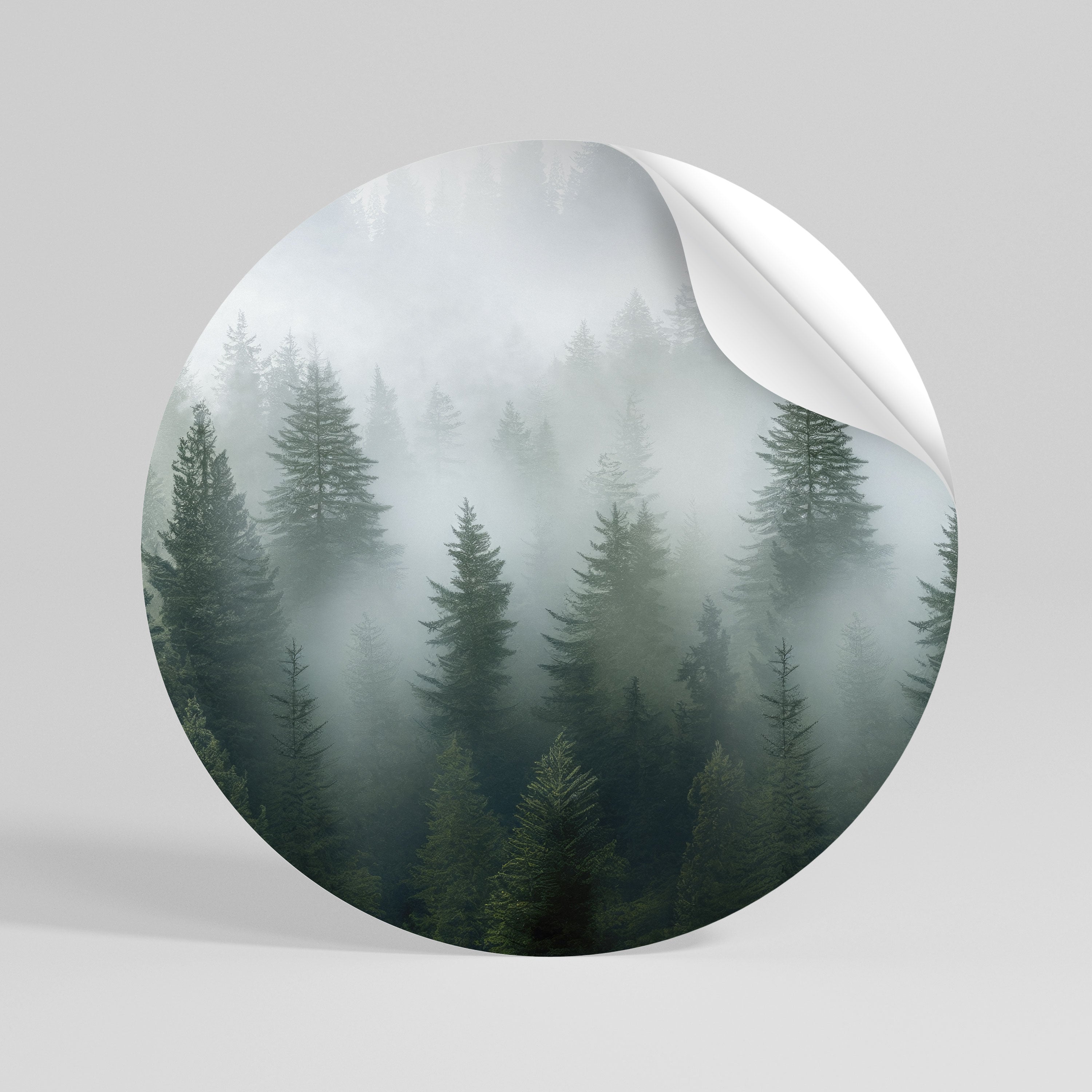 FOGGY CREST Autocolante Redondo Removível