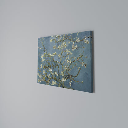 ALMOND BLOSSOM Horizontal Canvas Print