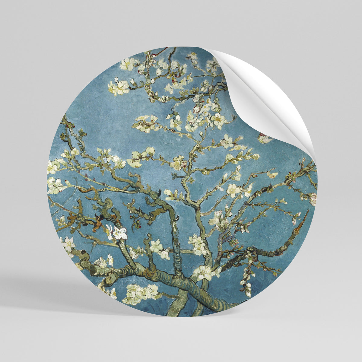 ALMOND BLOSSOM Autocolante Redondo Removível