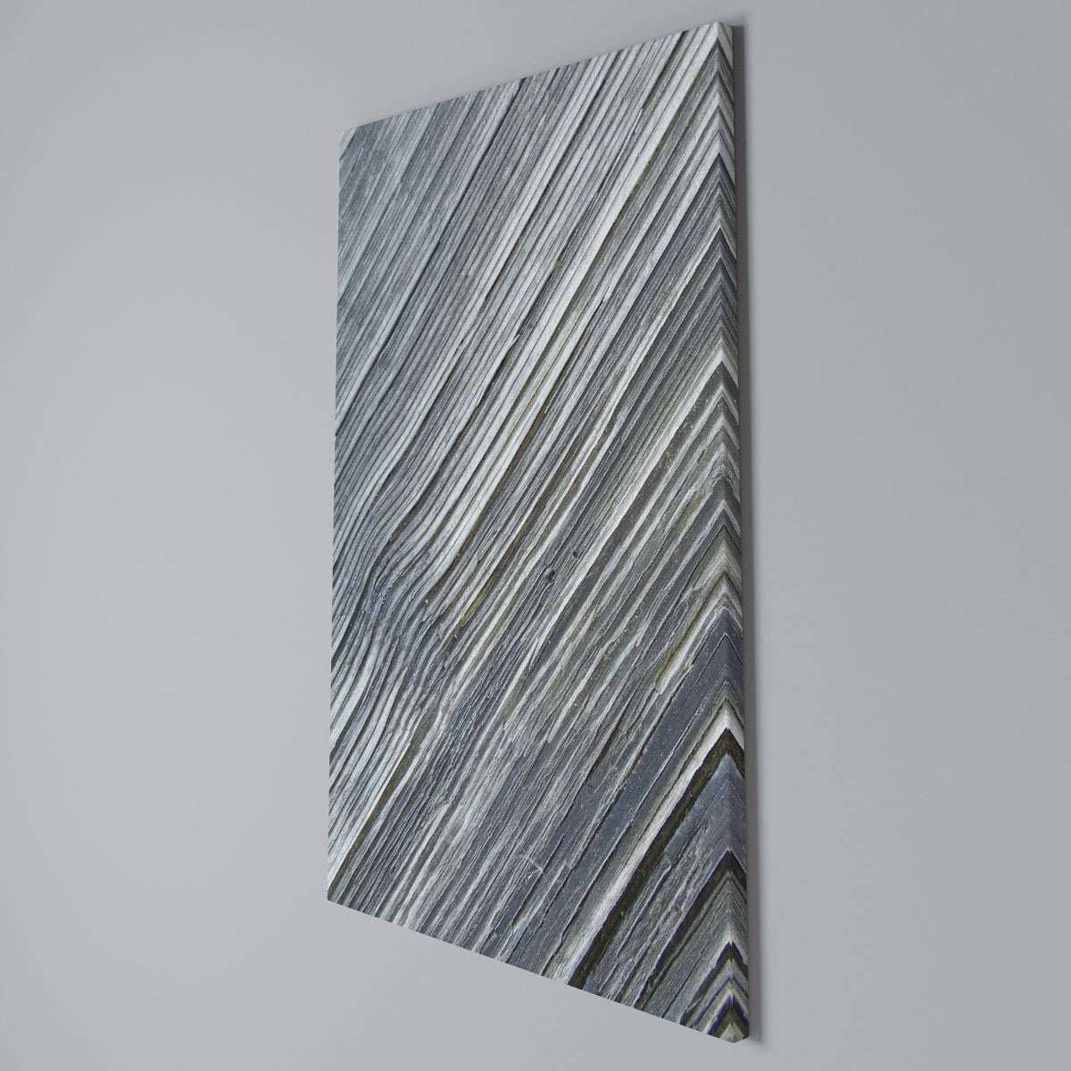 NATURE’S RIBBON RELIC Quadro em tela vertical
