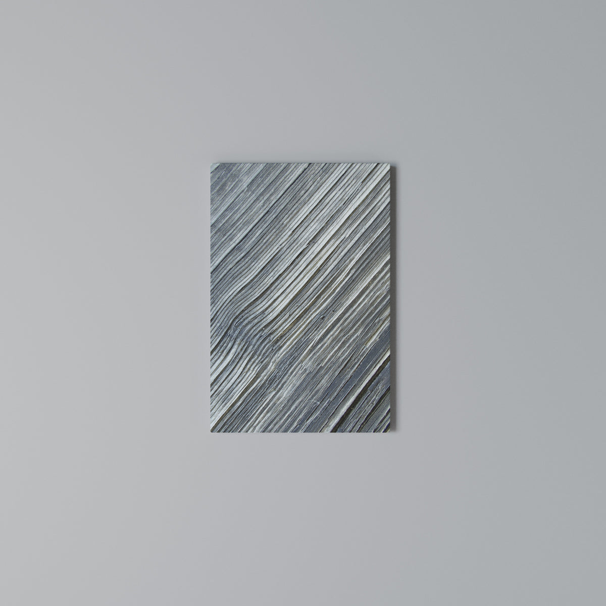 NATURE’S RIBBON RELIC Quadro em tela vertical