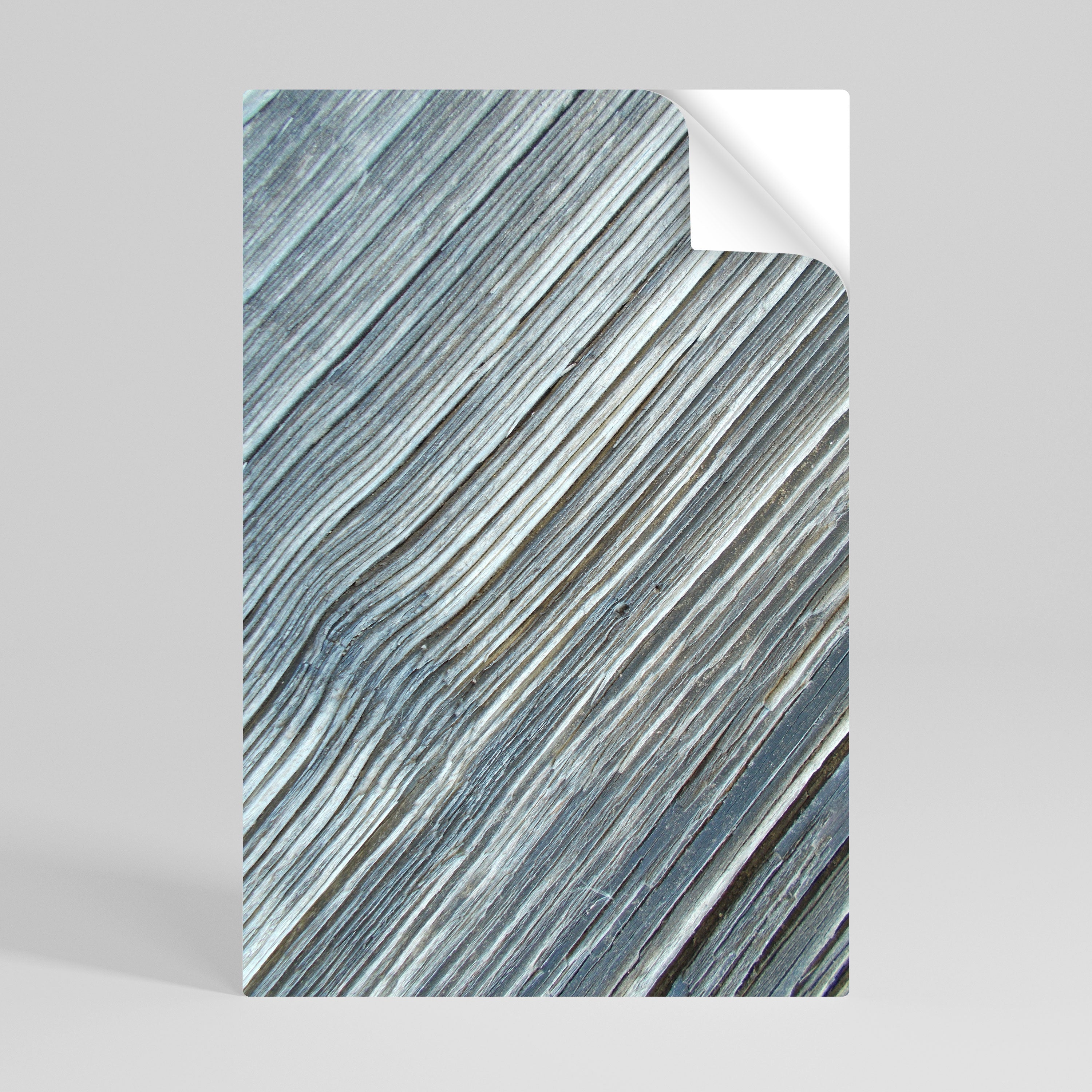 NATURE’S RIBBON RELIC Poster Vertical Autocolante