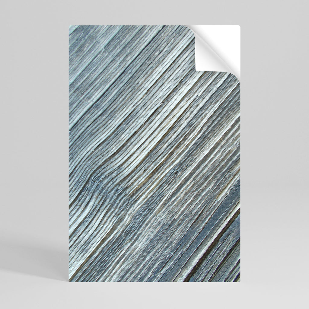 NATURE’S RIBBON RELIC Poster Vertical Autocolante