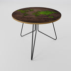 GREEN EARTH VISION Coffee Table 69