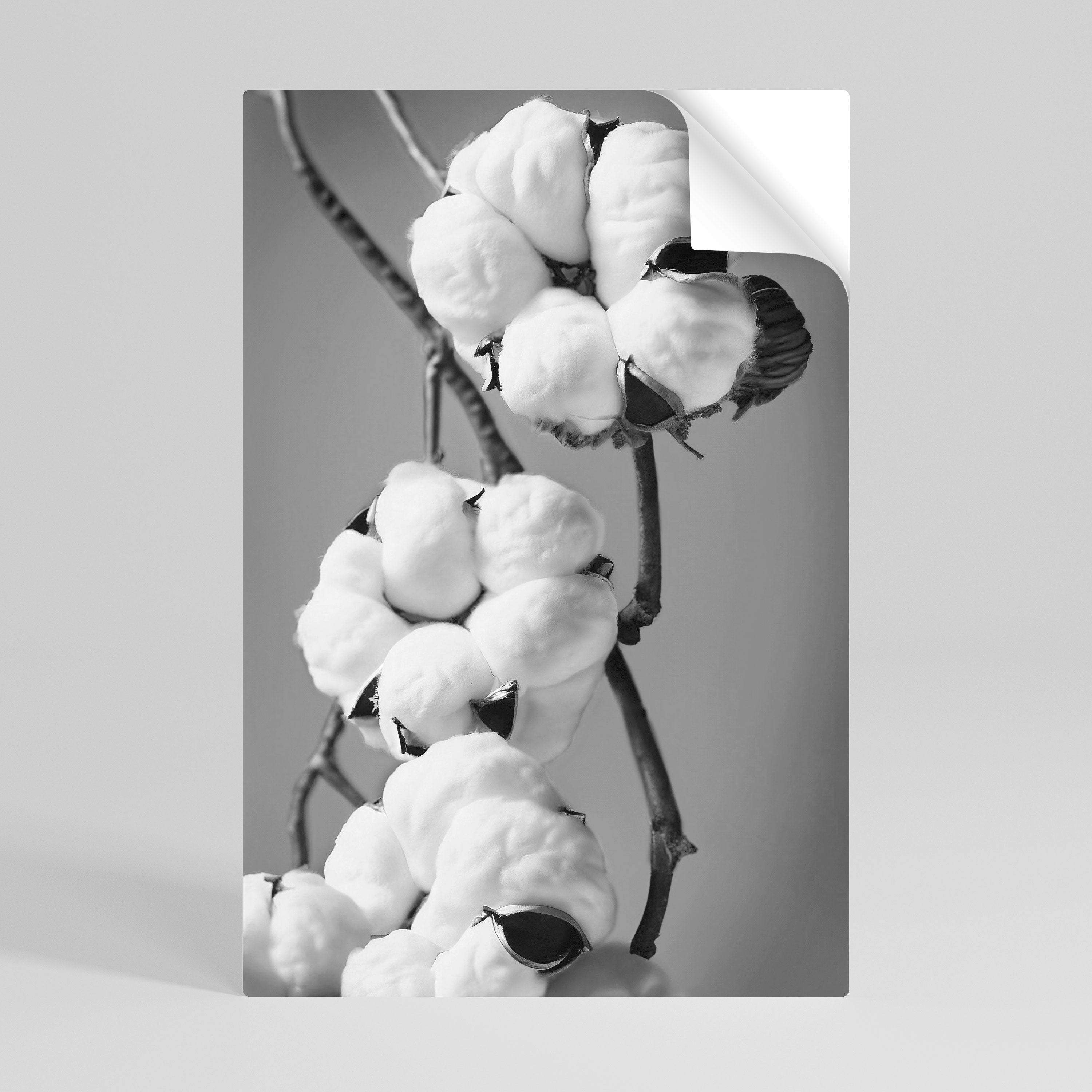 COTTON DREAMSCAPE Poster Vertical Autocolante