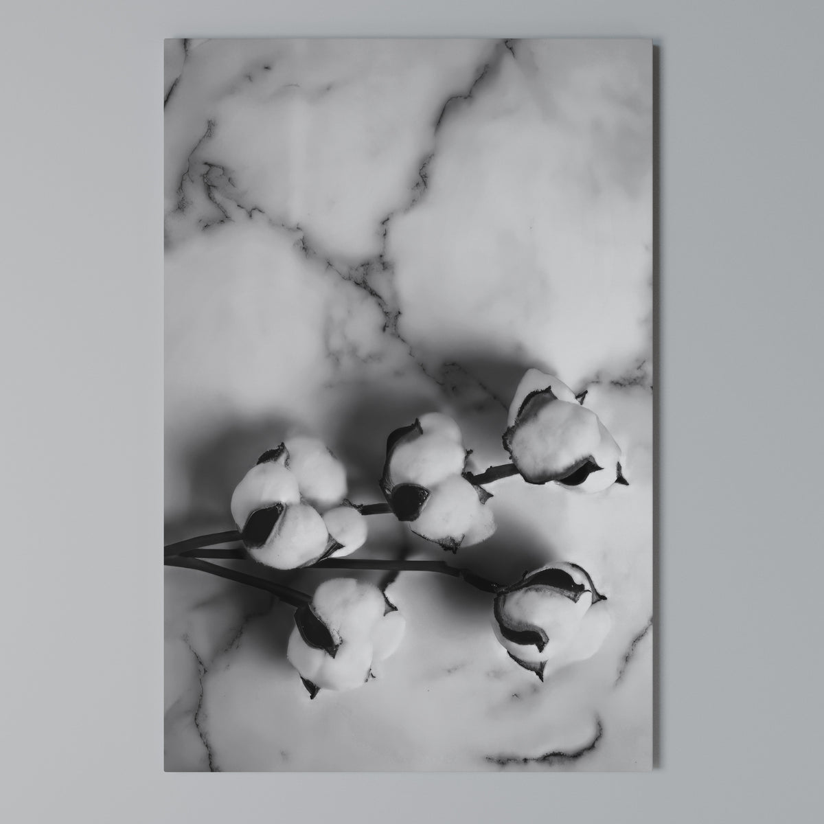 MONOCHROME COTTON DREAMS Quadro em tela vertical