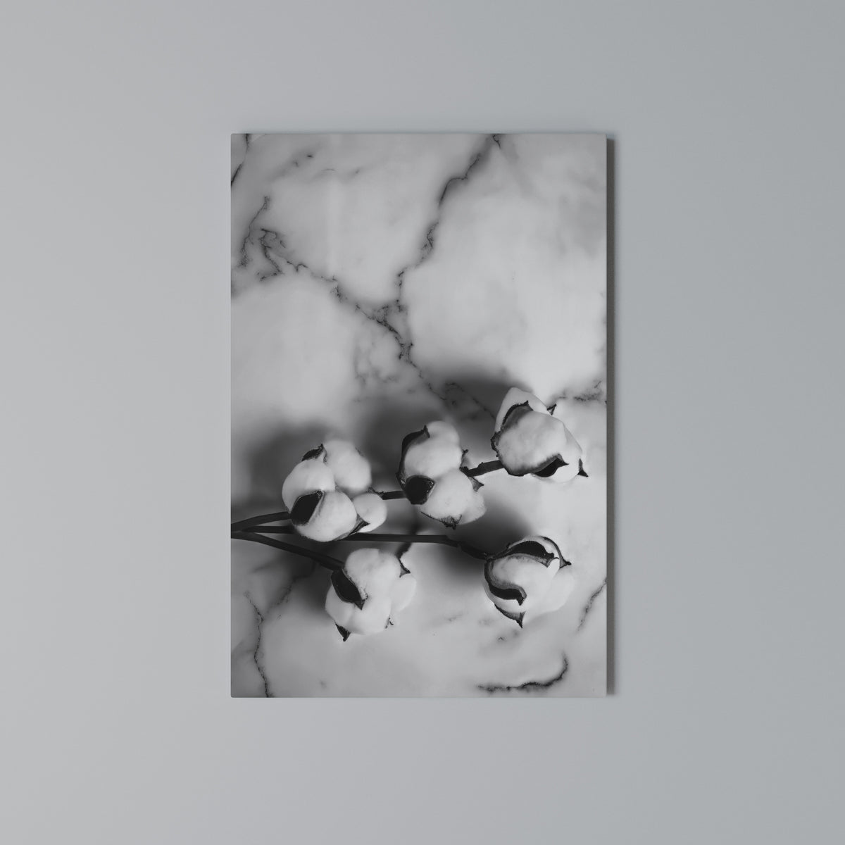 MONOCHROME COTTON DREAMS Quadro em tela vertical