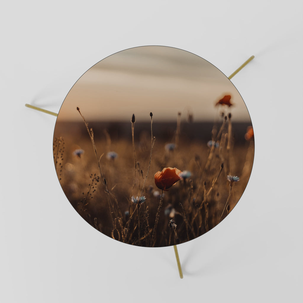 GLOWING MEADOWS AT DUSK Mesa de Centro 60