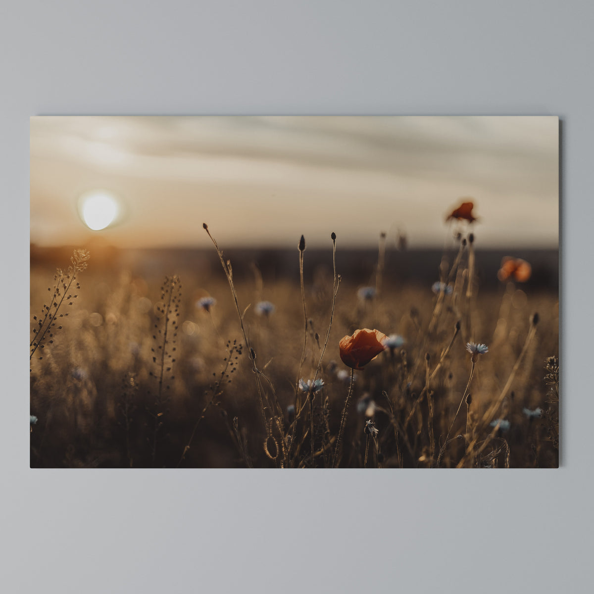 GLOWING MEADOWS AT DUSK Horizontal Canvas Print