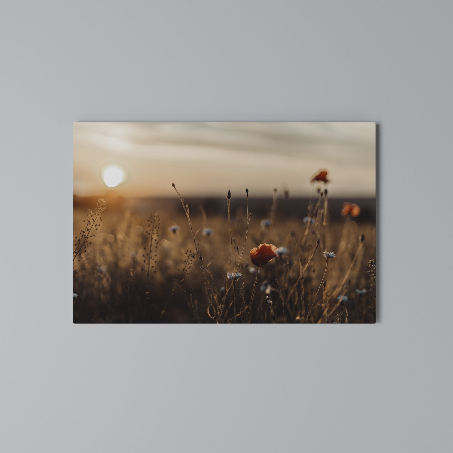 GLOWING MEADOWS AT DUSK Horizontal Canvas Print