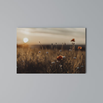 GLOWING MEADOWS AT DUSK Horizontal Canvas Print