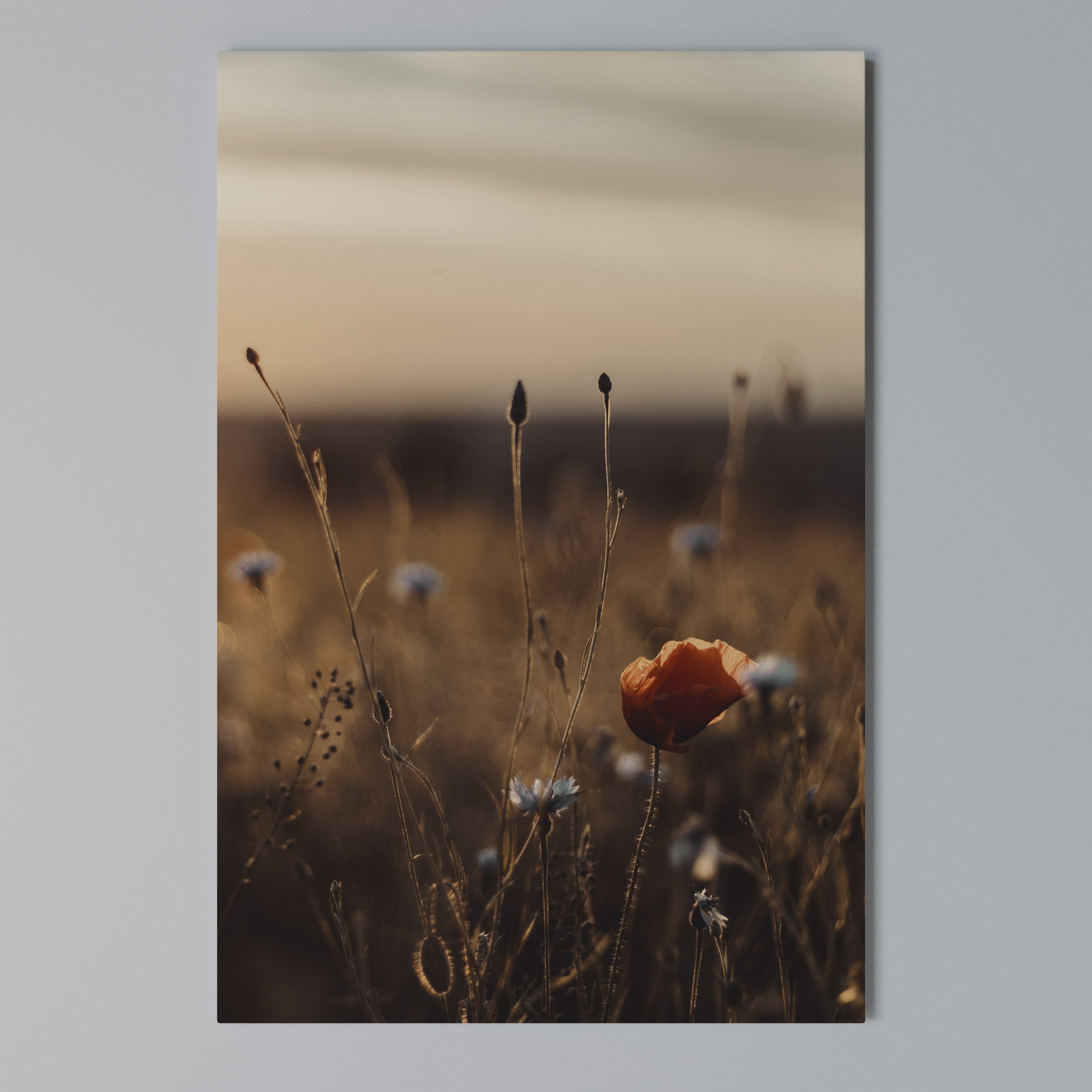 GLOWING MEADOWS AT DUSK Quadro em tela vertical